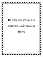 Hệ thống siêu âm ba chiều WBU trong chẩn đoán ung thu vú docx