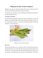 Những lợi ích tuyệt vời khi ăn măng tây pdf