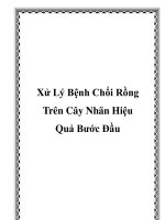 Xử Lý Bệnh Chổi Rồng Trên Cây Nhãn Hiệu Quả Bước Đầu potx