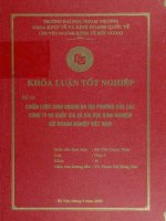 Chiến lược kinh doanh đa địa phương của các công ty đa quốc gia và bài học kinh nghiệm với doanh nghiệp việt nam