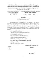 MẪU BÁO CÁO Về kết quả rà soát vụ việc .. pptx