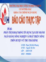 Đề tài: PHÂN TÍCH HOẠT ĐỘNG TÍN DỤNG TẠI CHI NHÁNH NGÂN HÀNG NÔNG NGHIỆP VÀ PHÁT TRIỂN NÔNG THÔN HUYỆN VŨ THƯ-THÁI BÌNH. potx