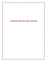 Canh hến linh chi chữa mất ngủ. potx