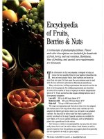 encyclopedia of fruits & berries