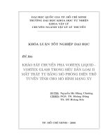 KHẢO SÁT CHUYỂN PHA VORTEX LIQUID - VORTEX GLASS TRONG SIÊU DẪN LOẠI II MẤT TRẬT TỰ BẰNG MÔ PHỎNG ĐIỆN TRỞ TUYẾN TÍNH CHO MÔ HÌNH MẠNG XY