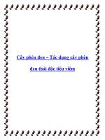 Cây phèn đen – Tác dụng cây phèn đen thải độc tiêu viêm pdf