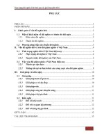 Thực trạng đói nghèo việt nam qua các giai đoạn phát triển