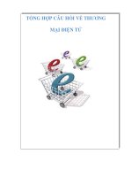TỔNG HỢP CÂU HỎI VỀ THƯƠNG MẠI ĐIỆN TỬ potx