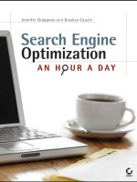 search engine optimization an hour a day