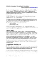 finance - risk analysis and monte carlo simulation