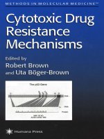 cytotoxic drug resistance mechanisms