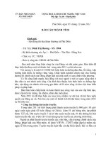 Ban thanh tich ca nhan dinh thi huong nam 2011 pptx