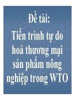 Tiến trình tự do hoá thương mại thương sản phẩm nông nghiệp trong WTO