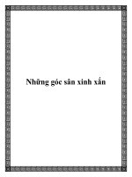 Những góc sân xinh xắn potx