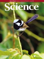 Tạp chí khoa học số  2007-08-17