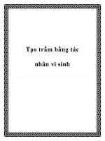 Tạo trầm bằng tác nhân vi sinh doc
