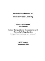 probabilistic models for unsupervised learning