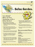 salsa garden