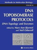 dna topoisomerase protocols, volume i