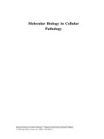 molecular biology in cellular pathology - john crocker , paul g. murray