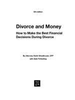 divorce and money 8th (2006)