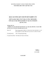 Nghiên cứu giải pháp đắp đê bằng vật liệu địa phương và đắp đê trên nền đất yếu từ quảng ninh đến quảng nam   chuyên đề  những khái niệm về kỹ thuật công trình biển  tổng quan hệ thống đê biển từ quảng ninh   quảng nam