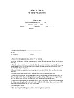 MẪU THÔNG TIN TÓM TẮT VỀ CÔNG TY ĐẠI CHÚNG ppt