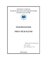 Tiểu luận: Phân tích ngành  phân tích chứng khoán