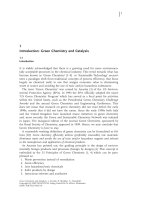 Green chemistry and catalysis