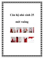 Căn hộ nhỏ xinh 25 mét vuông docx