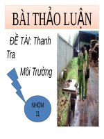 Bài thảo luận đề tài Thanh tra môi trường