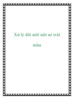 Xử lý đôi môi nứt nẻ trái mùa ppt