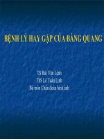 BỆNH LÝ HAY GẶP CỦA BÀNG QUANG doc