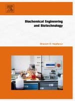 biochemical engineering and biotechnology