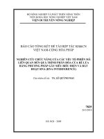 nghiên cứu chức năng của các yếu tố phiên mã liên quan đến quá trình phân hoá của rễ lúa bằng các phương pháp gây siêu biểu hiện gen và bất hoạt rna (rna interference)