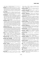 Dictionary of engineering P11