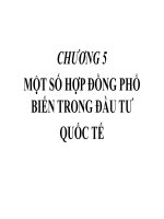 Một số hợp đồng phổ biến trong đầu tư quốc tế doc