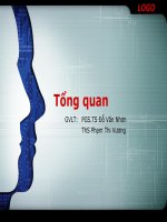 bài giảng tổng quan công nghệ tri thức - pgs.ts đỗ văn nhơn