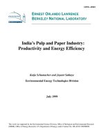 India’s Pulp and Paper Industry: Productivity and Energy Efficiency pdf