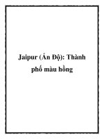 Jaipur (Ấn Độ): Thành phố màu hồng pot