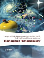 stochel - bioinorganic photochemistry (wiley, 2009)