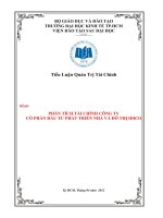 PHÂN TÍCH TÀI CHÍNH CÔNG TY  CỔ PHẦN ĐẦU TƯ PHÁT TRIỂN NHÀ VÀ ĐÔ THỊ IDICO