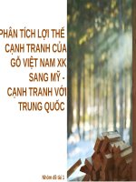 PHÂN TÍCH LỢI THẾ CẠNH TRANH CỦA GỖ VIỆT NAM XK SANG MỸ - CẠNH TRANH VỚI TRUNG QUỐC potx