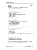 sự sẵn sàng của việt nam trong việc thực hiện thương mại điện tử trên lĩnh vực phát triển công nghệ thông tin