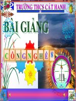 Giáo án bồi dưỡng công nghệ lớp 8 Mối ghép không tháo được