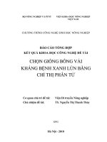 chọn giống bông vải kháng bệnh xanh lùn bằng chỉ thị phân tử