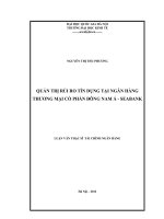 quản trị rủi ro tín dụng tại ngân hàng thương mại cổ phần đông nam á - seabank