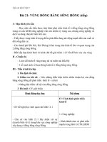 Giáo án bài Vùng Đồng bằng sông Hồng (tt) - Địa 9 - GV.N M Thư