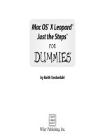 mac os x leopard just the steps for dummies (isbn - 047010967x)