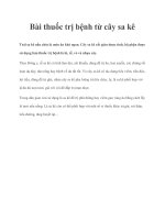 Bài thuốc trị bệnh từ cây sa kê docx